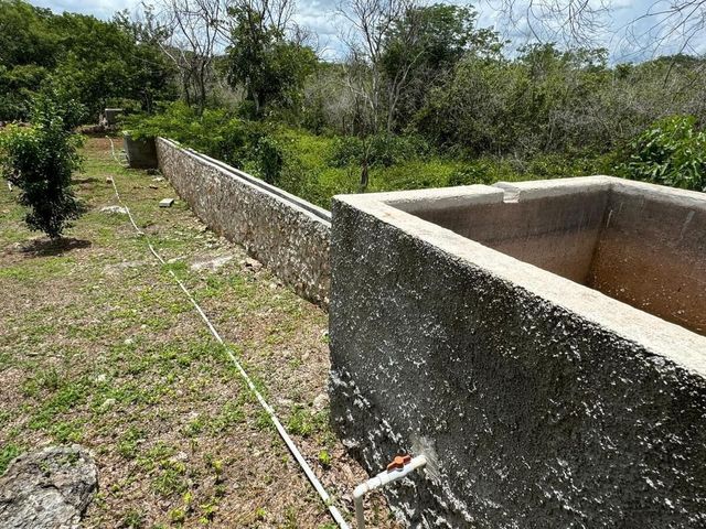 place photo 30