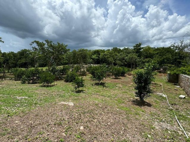 place photo 29