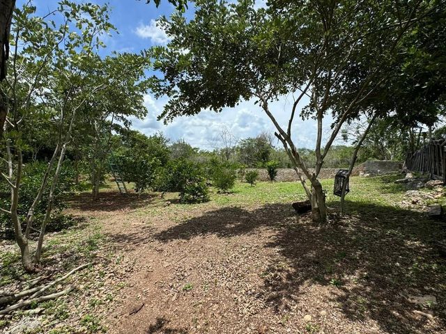 place photo 26