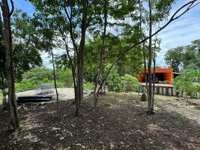 place photo 32