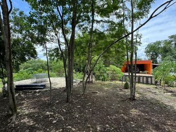 place photo 32