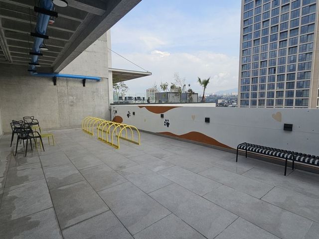 place photo 49