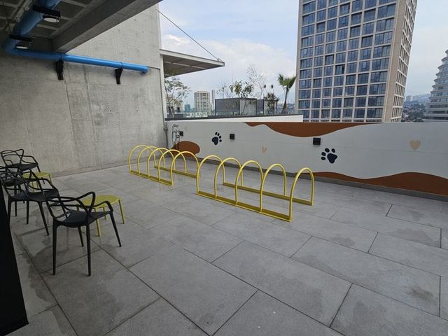 place photo 50
