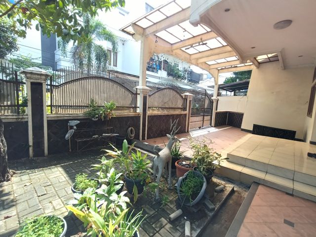 place photo 4