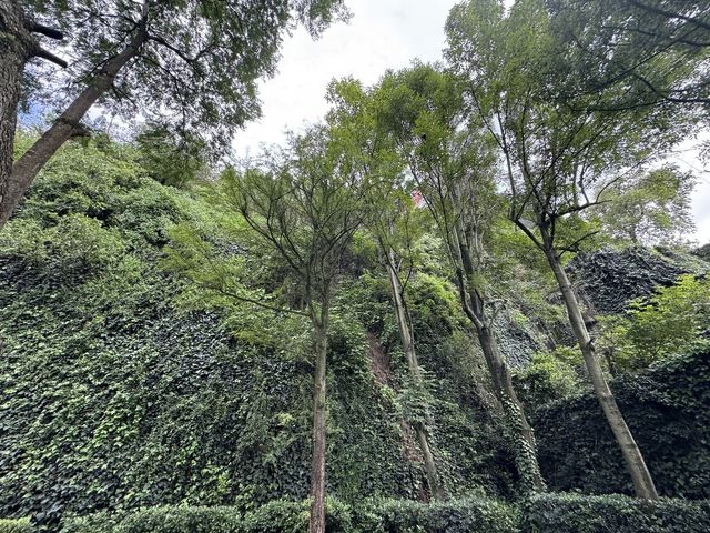 place photo 23