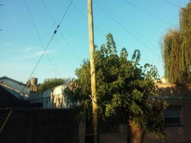 place photo 15