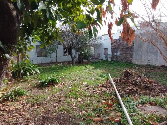 place photo 9