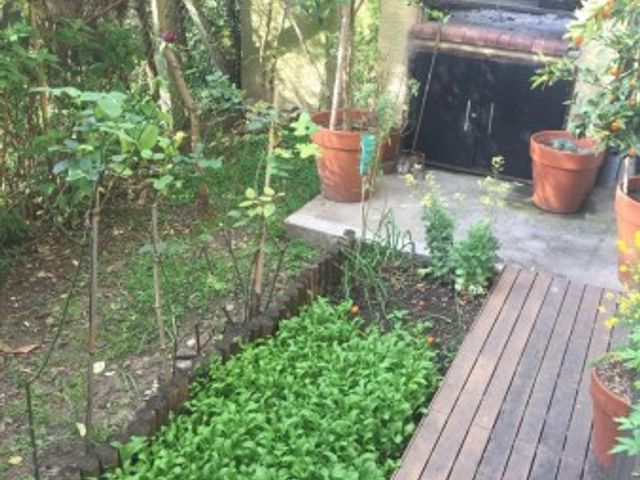 place photo 30