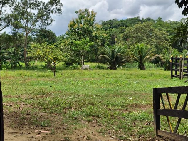 VENDO CASA FINCA EN LA VIA A PLANETA RICA CORDOBA