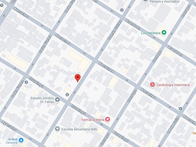 place photo 12