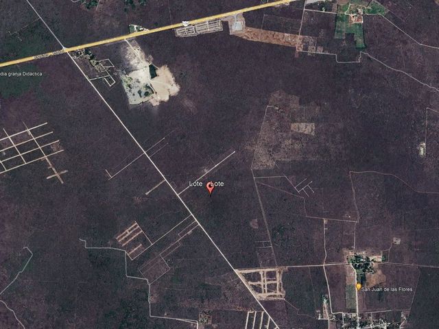 place photo 12
