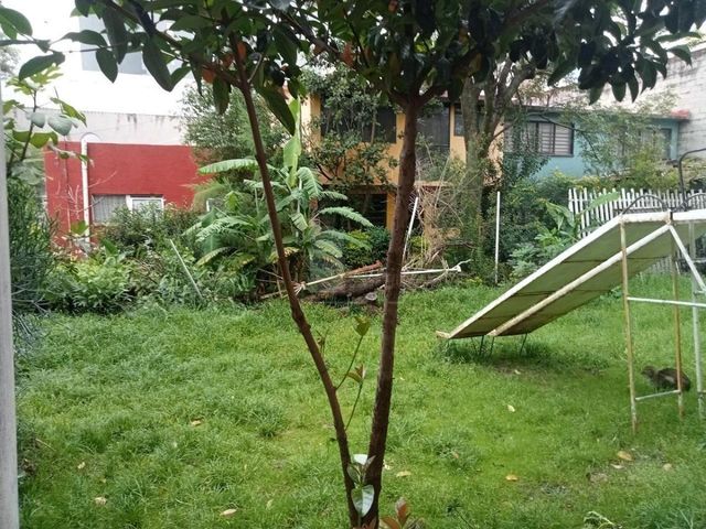 place photo 24