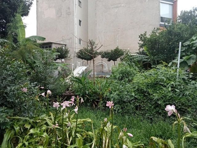 place photo 19