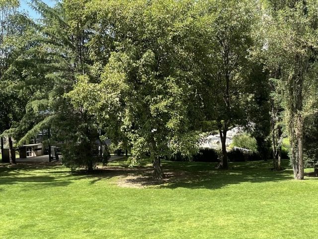 place photo 26