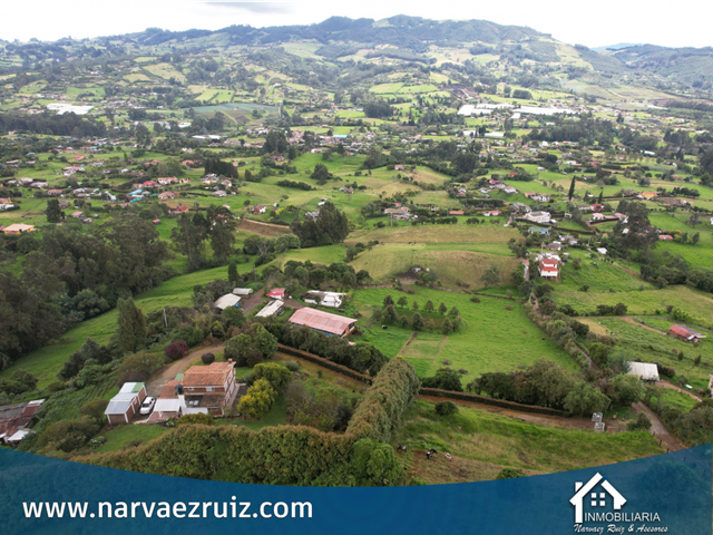 place photo 46