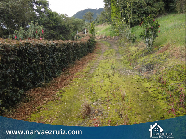 place photo 41