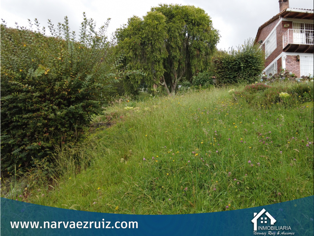 place photo 39