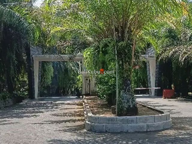 place photo 19