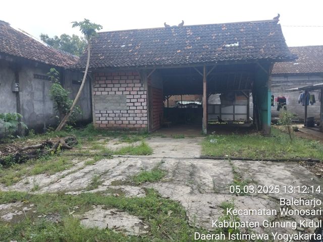place photo 4