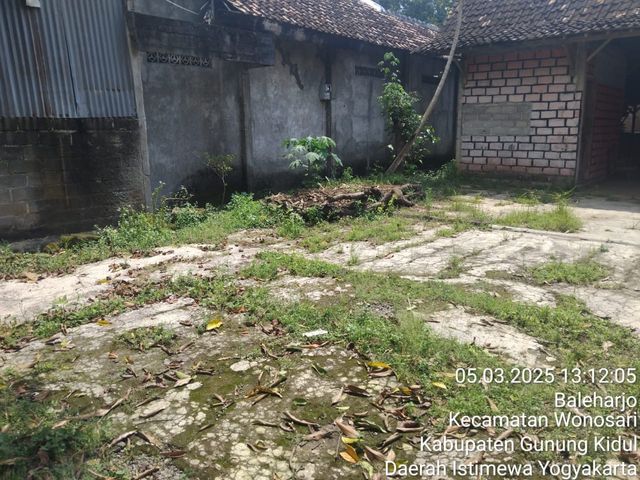 place photo 3