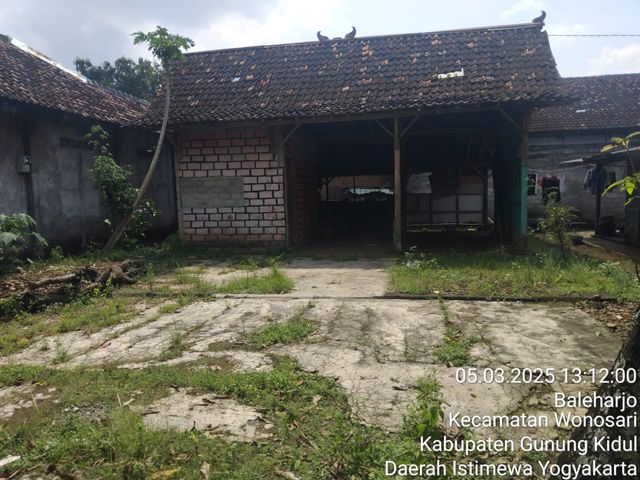 place photo 5