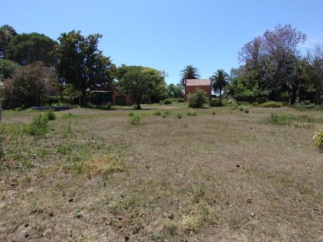 place photo 14
