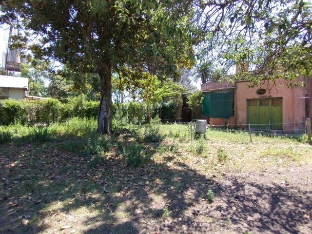place photo 17