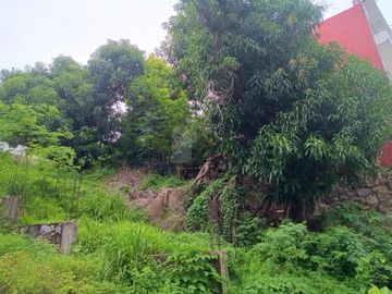 place photo 44