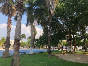 place photo 21