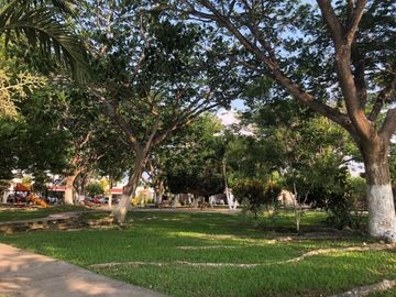 place photo 20