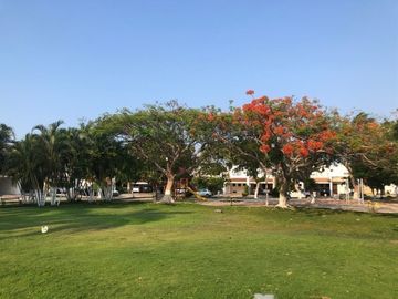 place photo 23