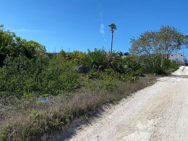 place photo 2