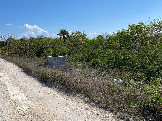 place photo 22