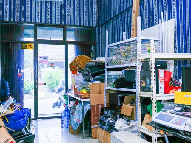 place photo 22