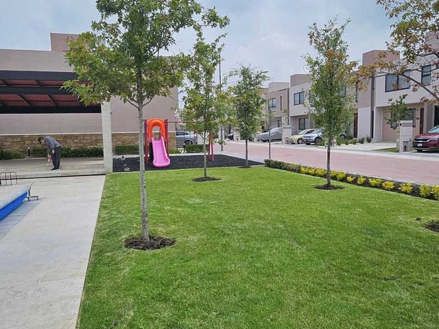 place photo 32