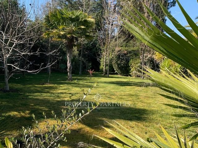 place photo 41