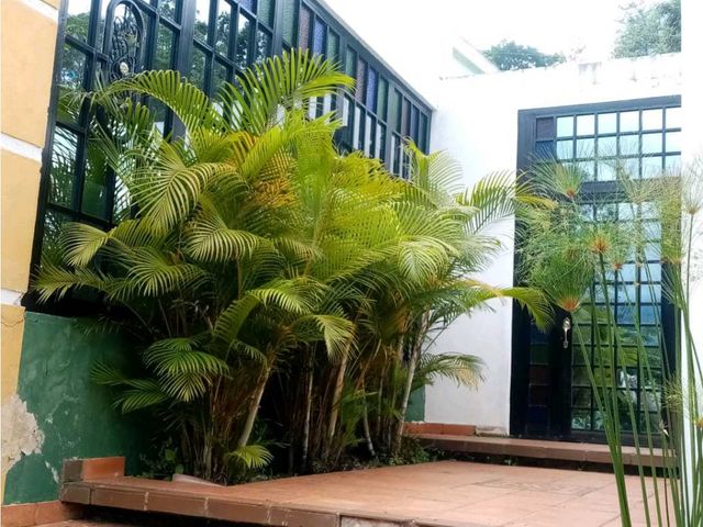 place photo 27