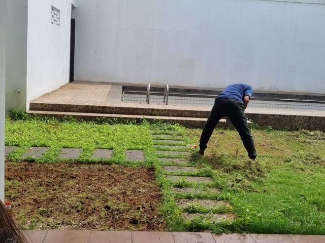 place photo 23