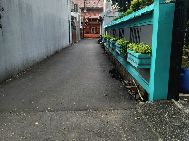 place photo 11
