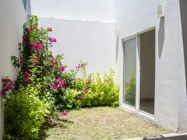 place photo 39
