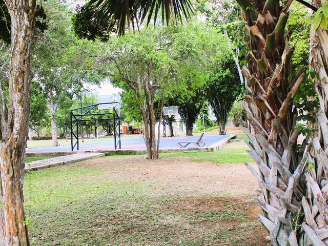 place photo 27
