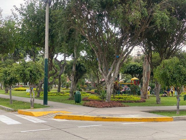 place photo 12