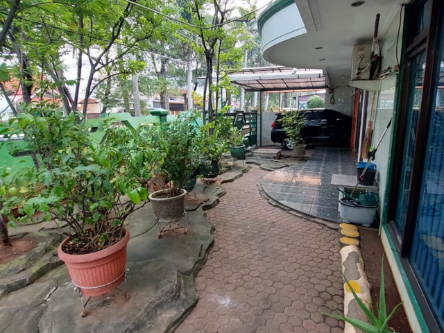place photo 19