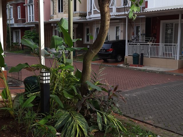 place photo 43