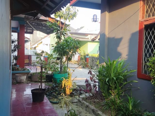 place photo 22