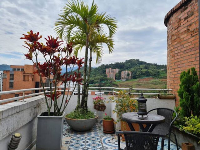 place photo 22