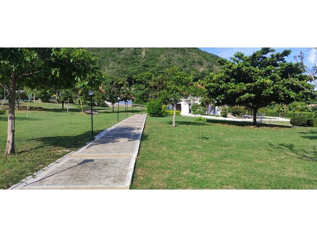 place photo 30
