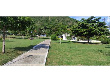 place photo 30