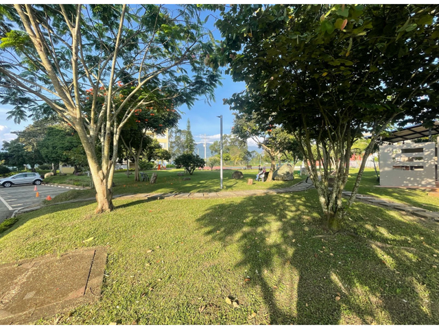 place photo 41