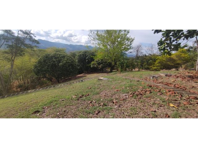 place photo 44